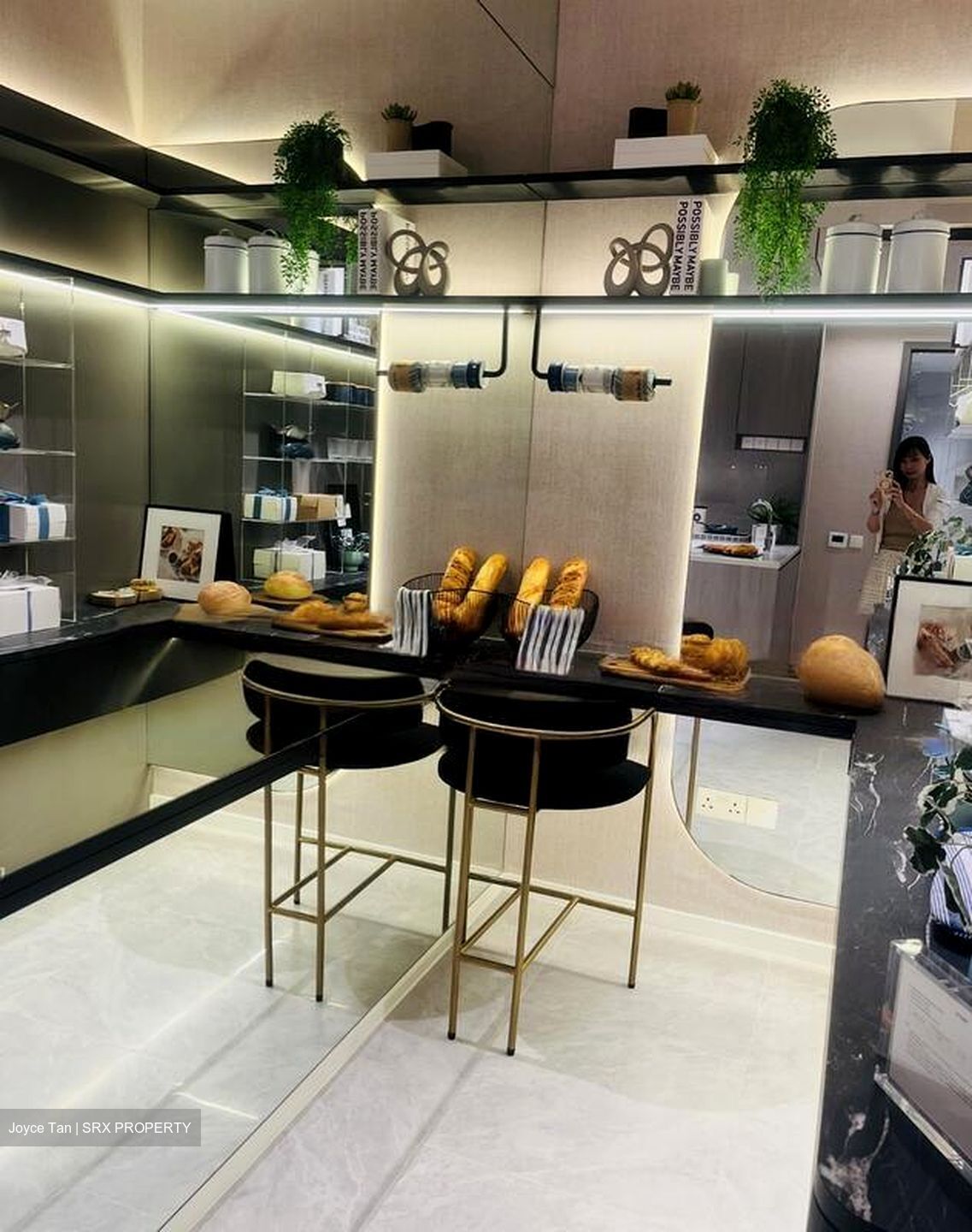 The LakeGarden Residences (D22), Condominium #453253121